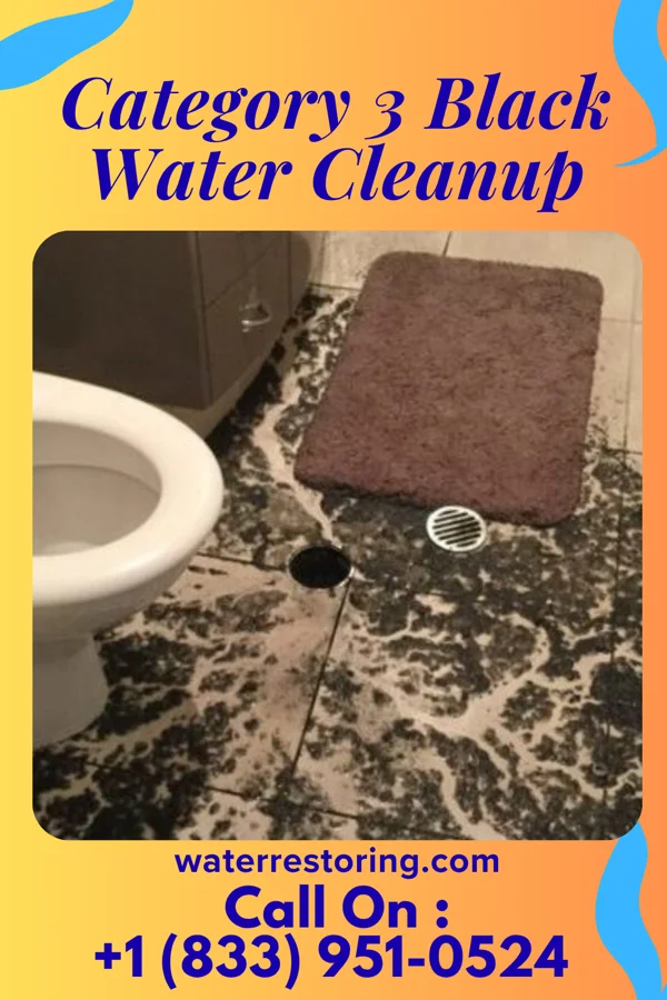 Category 3 Black Water Cleanup in Montebello, NY