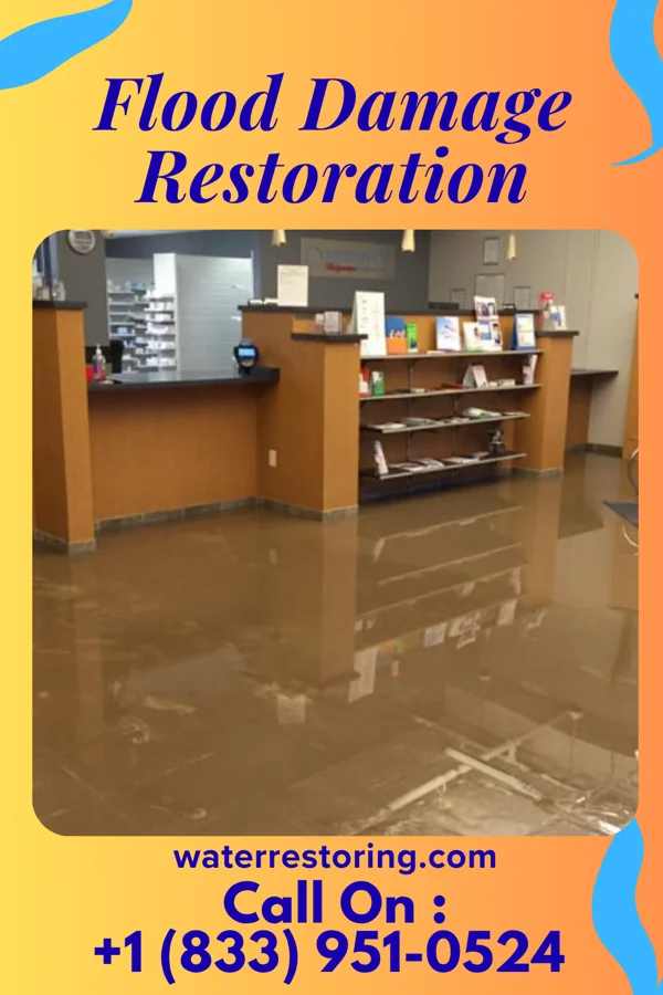 Flood Damage Restoration in Montebello, NY