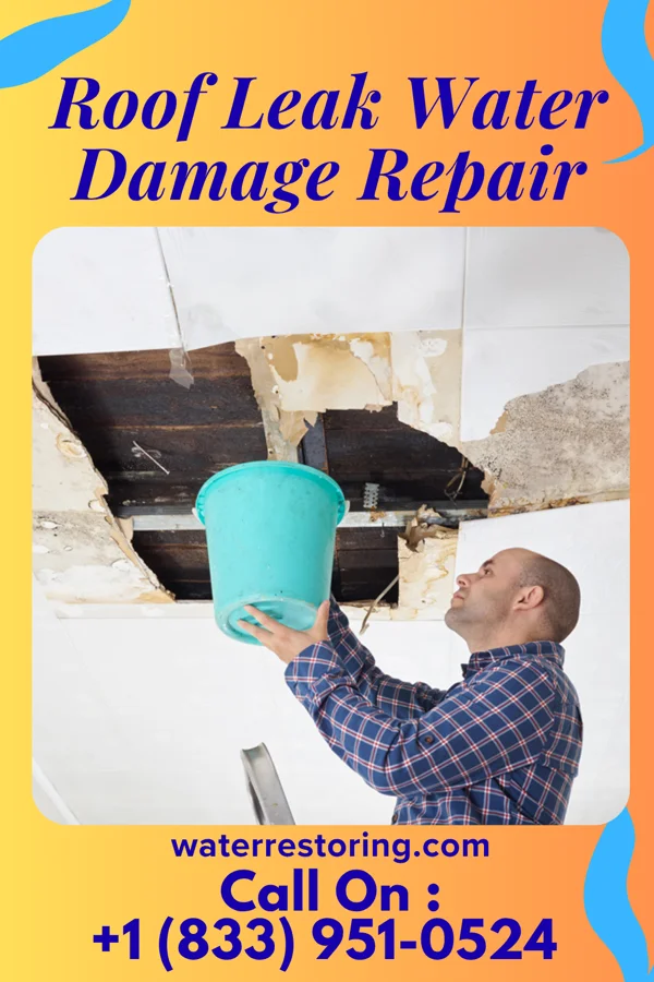 Roof Leak Water Damage Repair in Montebello, NY
